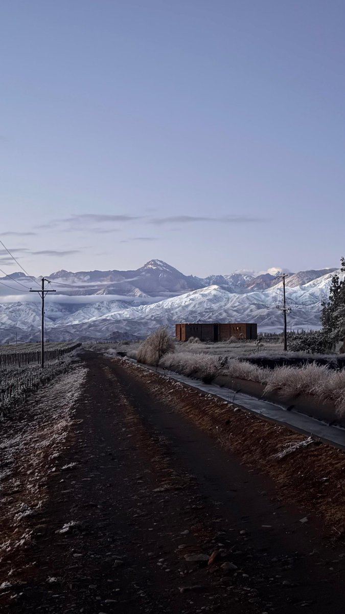 Amanecer en Gualtallary #Mendoza