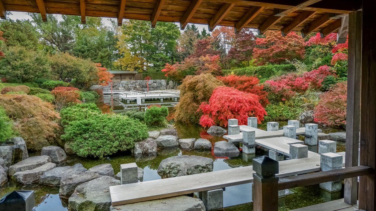 ngstmy_'s tweet photo. ギリギリ見れた紅葉🍁
冬になるのが嫌すぎて本気で移住を考えた日｡
もはやいいところがないこの街…

#現在2度 https://t.co/qjDgLY6fN1