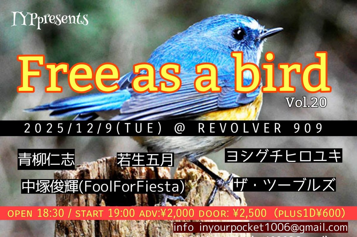 thetoubles's tweet photo. 🔫新着‼︎🔫
チケット予約受付中

12/9(火)
IYPpresents
『 Free as a bird  Vol.20 』
円山REVOLVER @revolver2007
OPEN18:30/START19:00
チケット¥2000+1D¥600

出演(順)
若生五月
中塚俊輝(Fool For Fiesta)
ザ･ツーブルズ 20:10〜
ヨシグチヒロユキ
青柳仁志

info / inyourpocket1006@gmail.com https://t.co/MNjoYJ9wtK