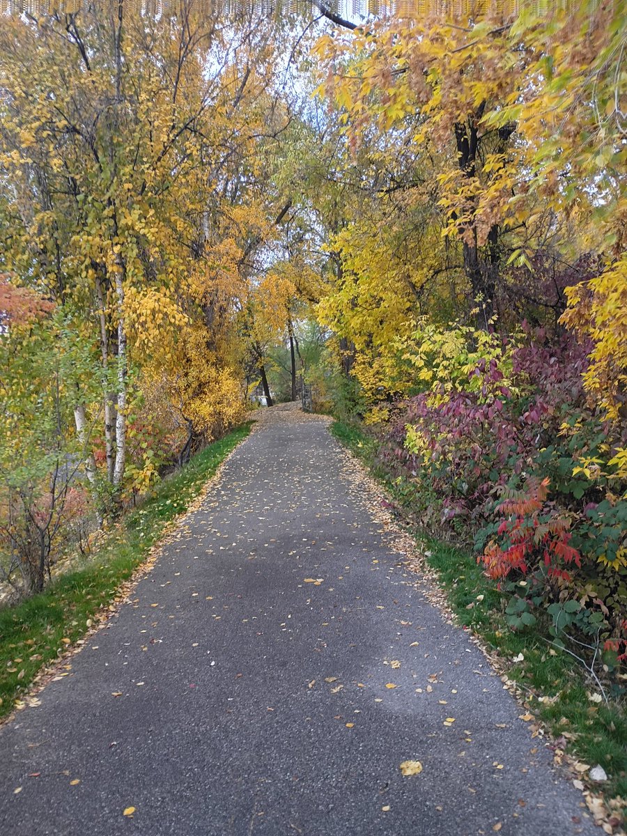 bairdbryan22's tweet photo. Leaves changing on the Provo River Trail https://t.co/SrfQOiMKIm