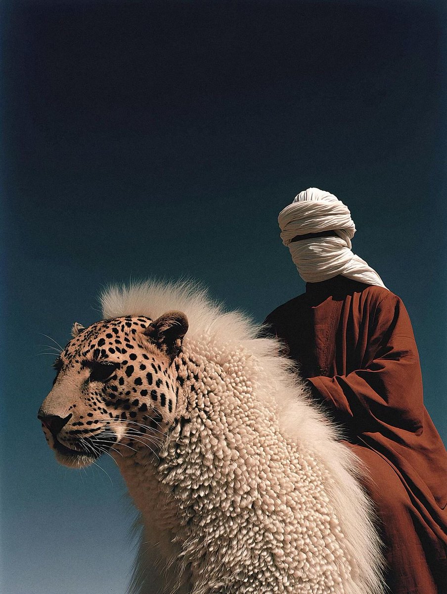 amirwzrd's tweet image. 