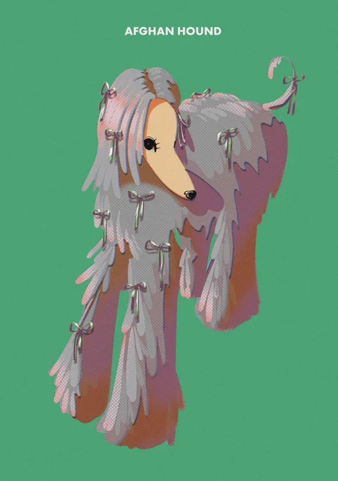 AFGHAN HOUND