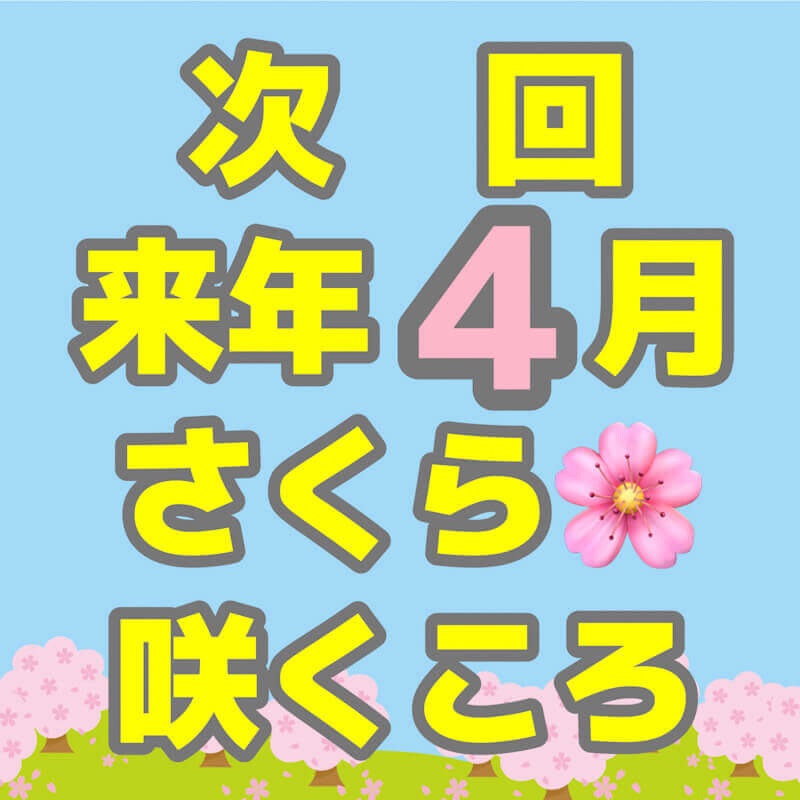 仙台コスプレフェスティバル inベニーランドVol.80は、今年度最後の開催だというのに雨の影響でちょっぴり残念でしたが、トラブルもなく終了できました
皆様ご協力ありがとうございました

次回は2026年4月に開催予定です
スケジュールが決まり次第お知らせしますのでお待ち下さい🤗