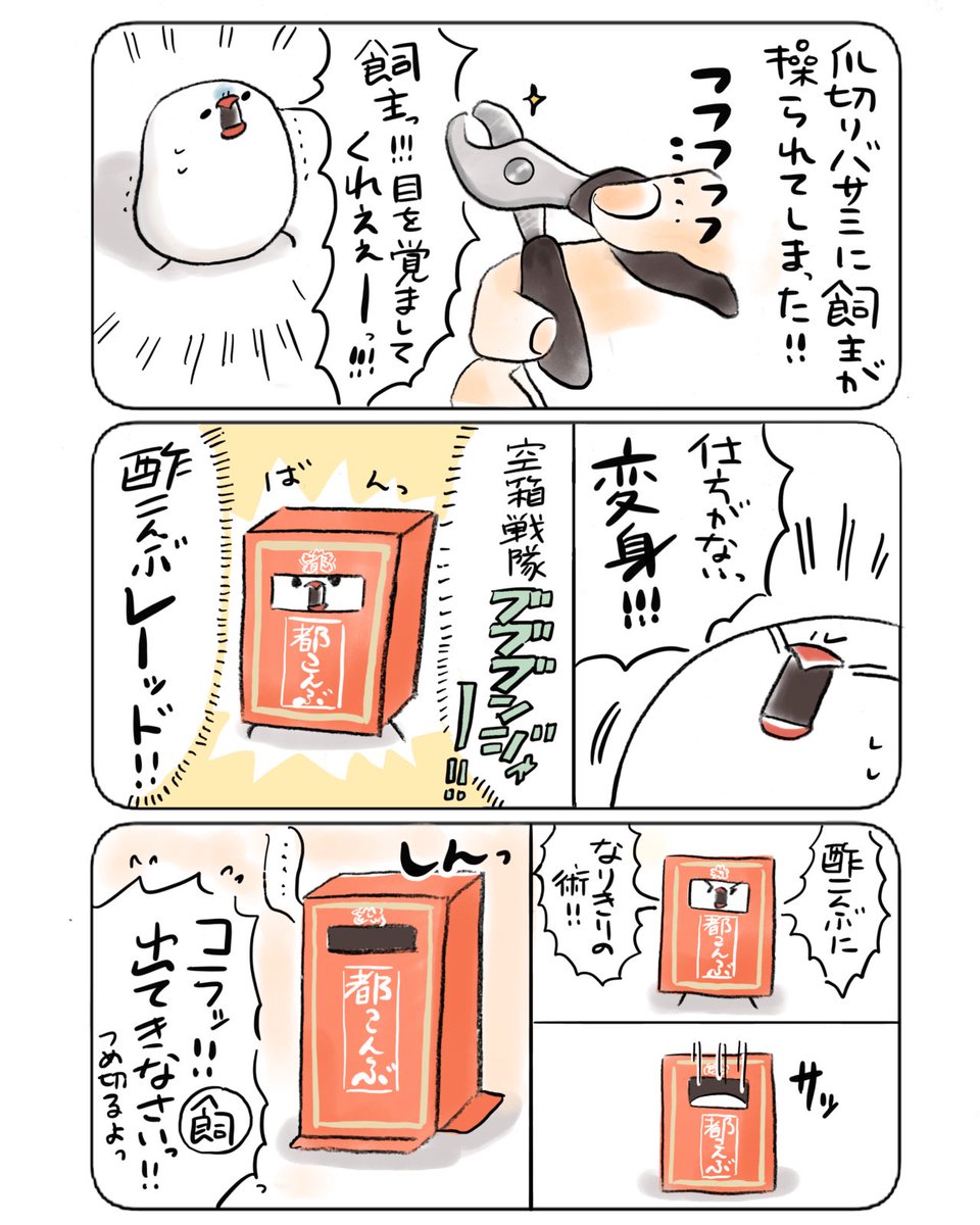 空箱戦隊ブブブンジャー！②