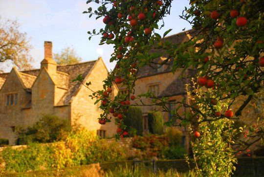 may (@scarlettwants) on Twitter photo 