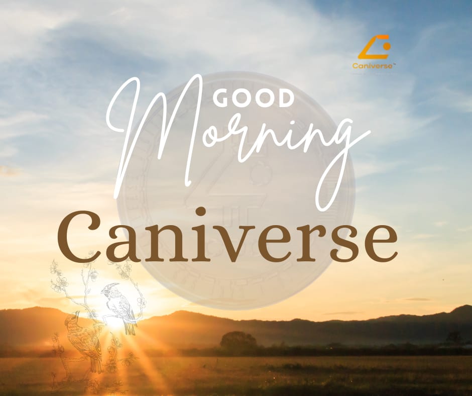 Caniverse_cnv's tweet photo. Just a GM to everyone who's seeing this post🌅

What are we buying today?🤔

Don't forget to add the Caniverse tokens $CDG and $CNV to your bags https://t.co/uWGn2oTLv4