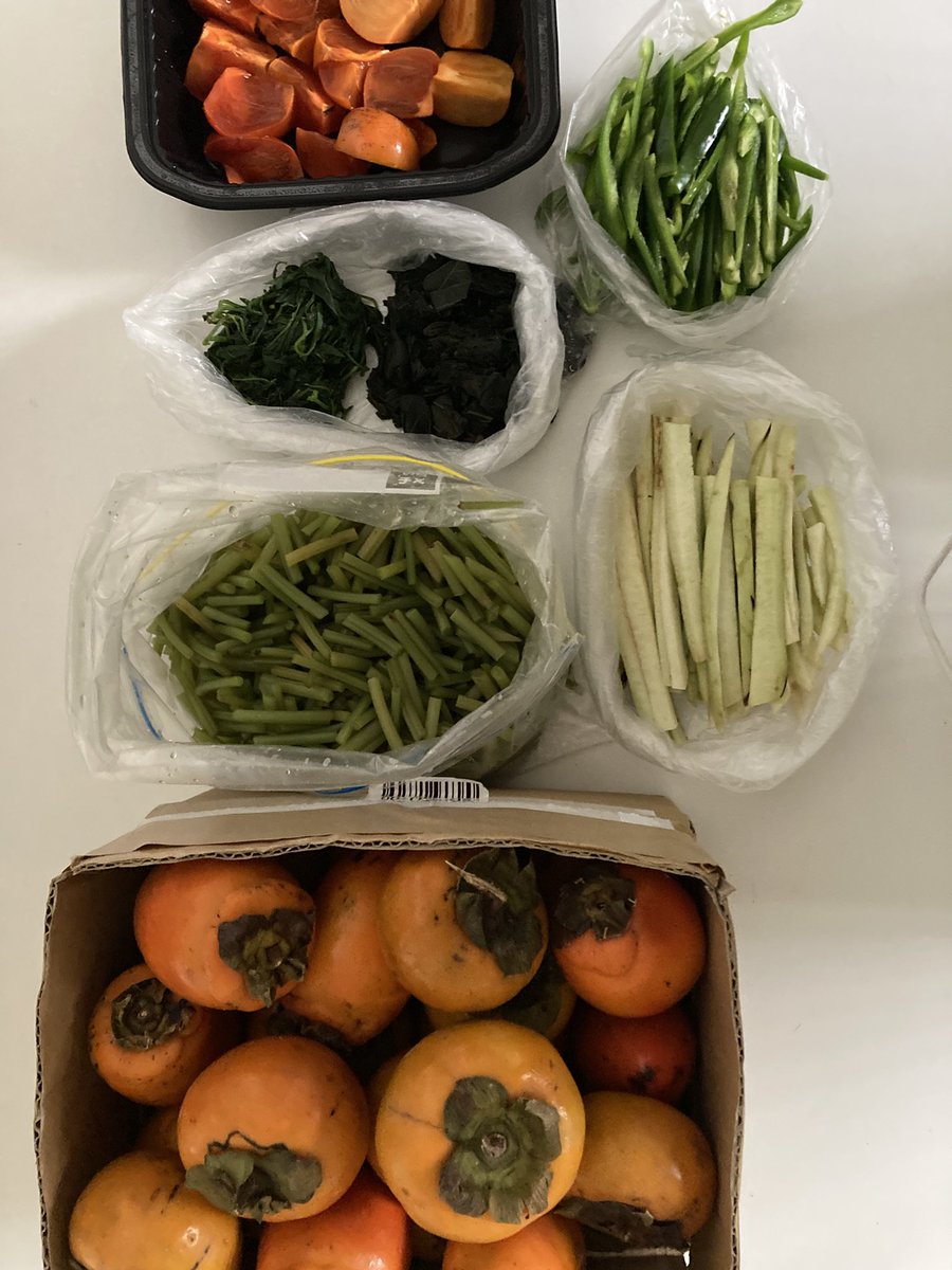 ケノン エリザベス様 2009 エリザベス2世 ウナ＆ライオン 試作青銅メダル PL67RD 2of5