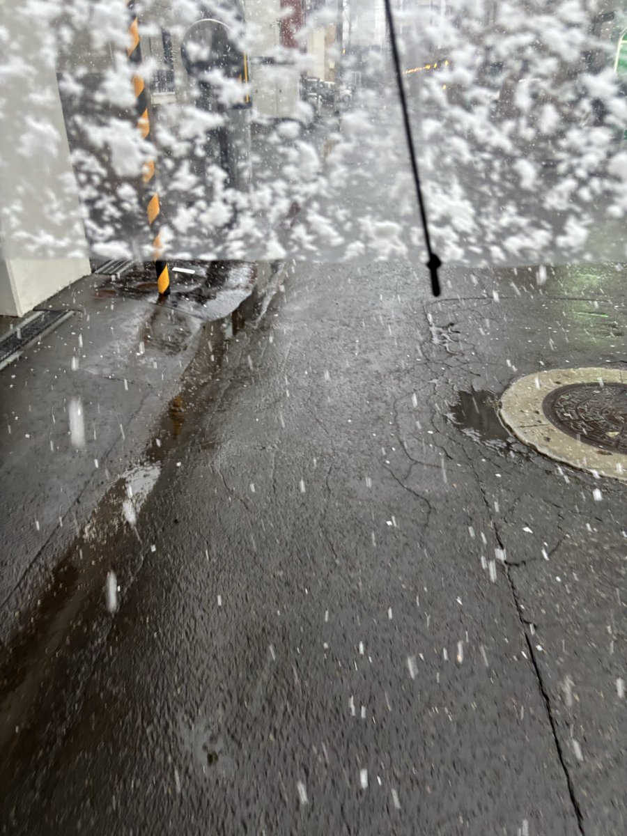 ♡しおりん様ご確認♡ しおりん2号 (@shiori____shio) / Posts / X