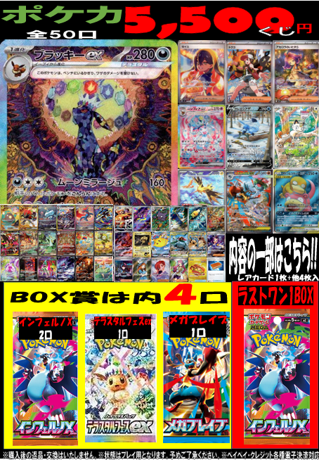 チャンピオンズフェスティバル トレーナーカード WORLDS 13