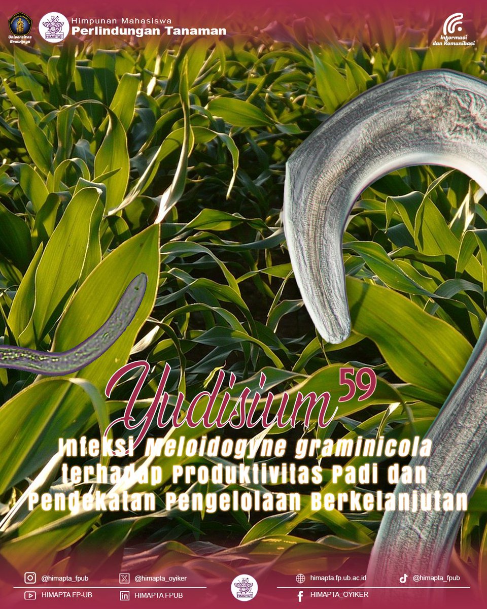 [YUK DIINFORMASIKAN UNTUK UMUM] #59

Haiii Mahasiswa Perlindungan Tanaman!!! 👋🏻

Yudisium edisi ke-59 kembali hadir dengan topik  tanaman padi! 🌾✨
Kali ini kita akan membahas “Infeksi Meloidogyne graminicola Terhadap Produktivitas Padi dan Pendekatan Pengelolaan Berkelanjutan”