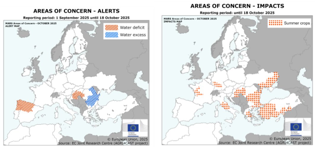 irene@JRC_MARSBulletin tweet media