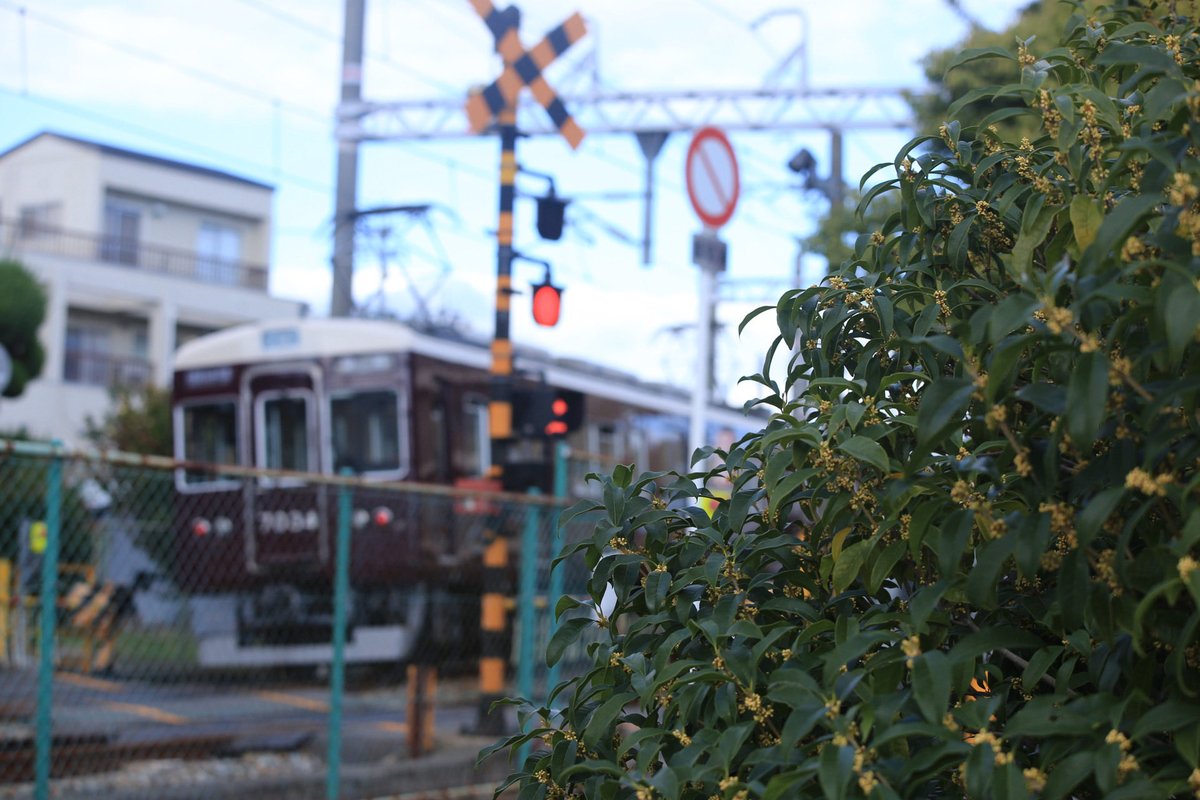 鶴見大佐(徳庵和尚) on X