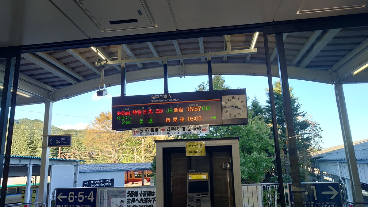 こたつねこ774 on X