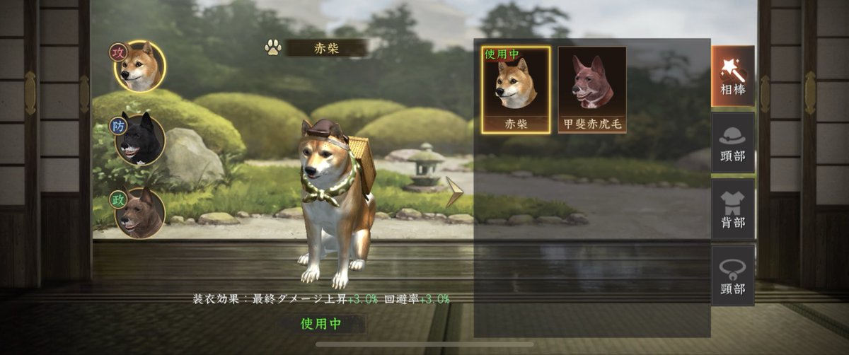 わんちゃんの帽子いいな…と思い10連。赤柴いないと装備できないことがわかり…結局40連。痛い出費😭
 #新信長の野望