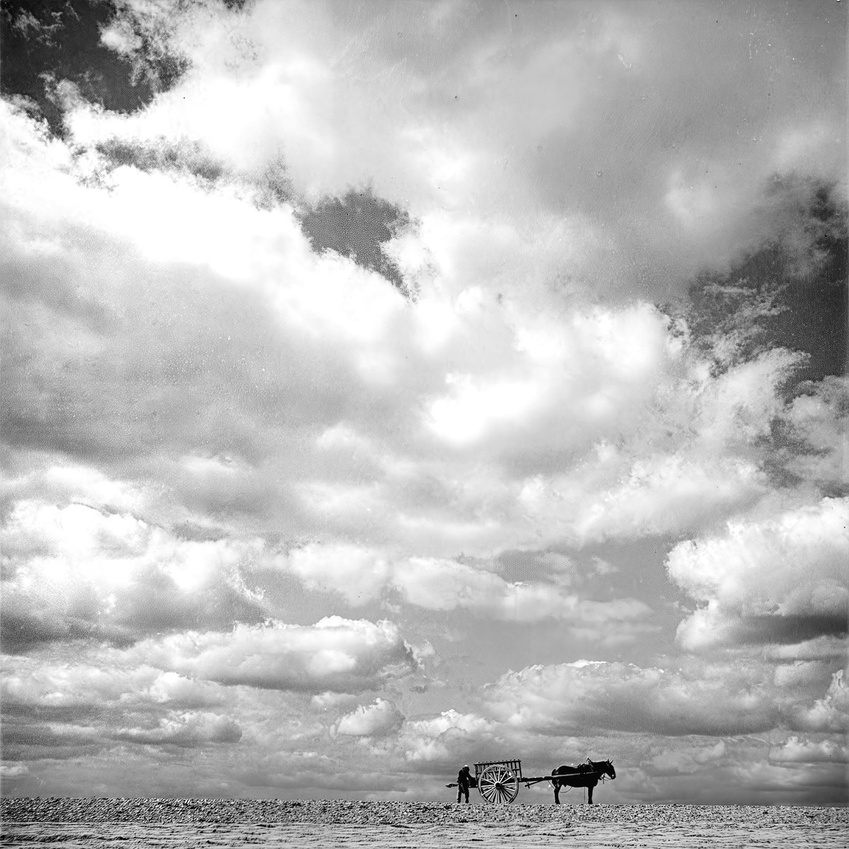 Roger Schall - Travailleur aux champs, Sézanne 1934