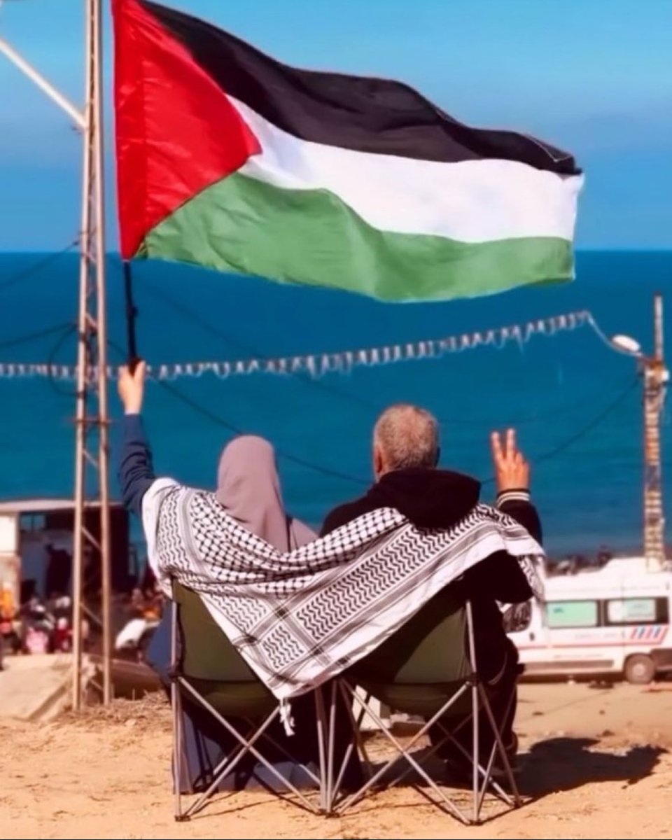 Can we get 2,000 people to reply with free Palestine 🍉🇵🇸