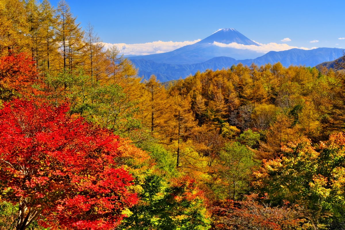 Hiroshi Yamamoto (@hiroshi_vh) / Posts / X