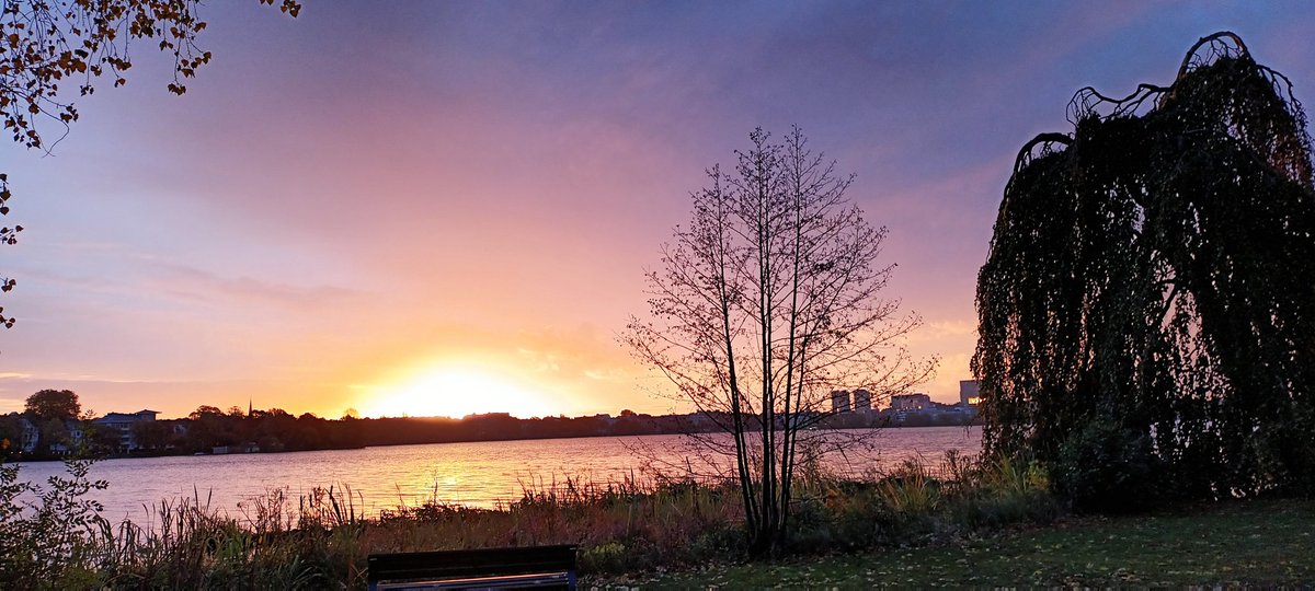 Trainingsaussichten ☀️ Kommt gut durch den Tag! 🫶🏼