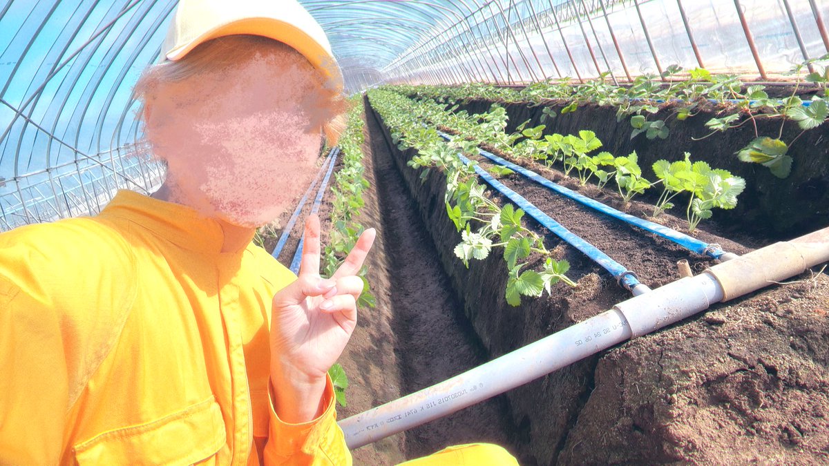 root_nico_2's tweet image. こ…れ…は…？💭🍓

るぅとくん今日は外でがんばってます(  ˶&apos;ᵕ&apos;˶)  ̖́-💛