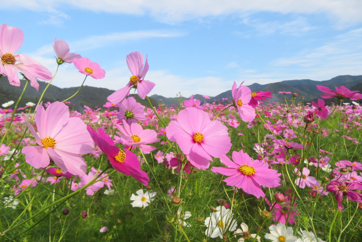 MR.H✨只今福井県出張中✨ on X