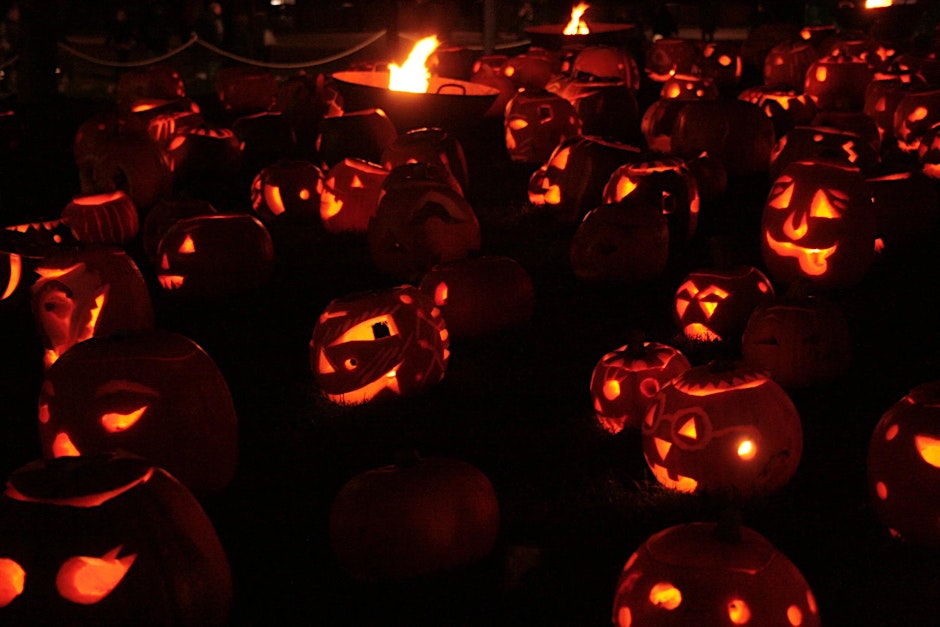 LBofBexley's tweet image. 🎃 Pumpkin Carving in the Woods

A magical evening of pumpkin carving, face painting and family fun — all set in the beautiful woodland setting of The Clearing, Belvedere.

📅 Friday 31 October
🕓 4–7pm

ow.ly/ZcBS50Xin5z

#PumpkinCarving #Halloween #CelebratingBexley