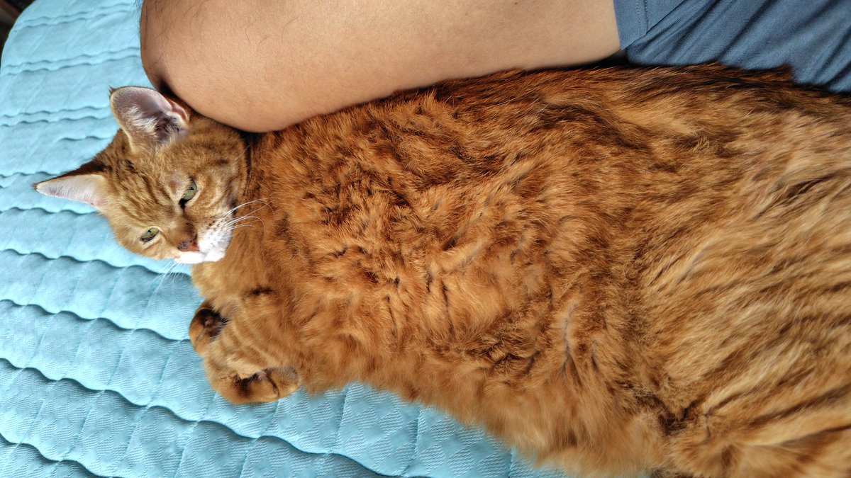 meron meron様 RANDOM RIBBED ORGANIC COTTON 2WAY DRESS – MIDWEST ONLINE STORE