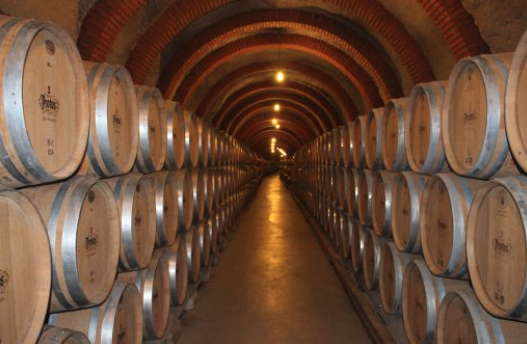 Bodegas Protos tweet media