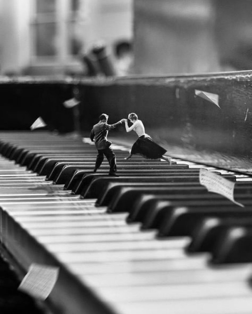 My life is between 
The black and white keys 
Oh the love piano 
Let’s experiment to create Music
Would you dance with me
Cascading Symphonies like the 
Endless waterfalls of nature 
#vss365 #between #amatory #nature #dance #piano #music #experiment #love