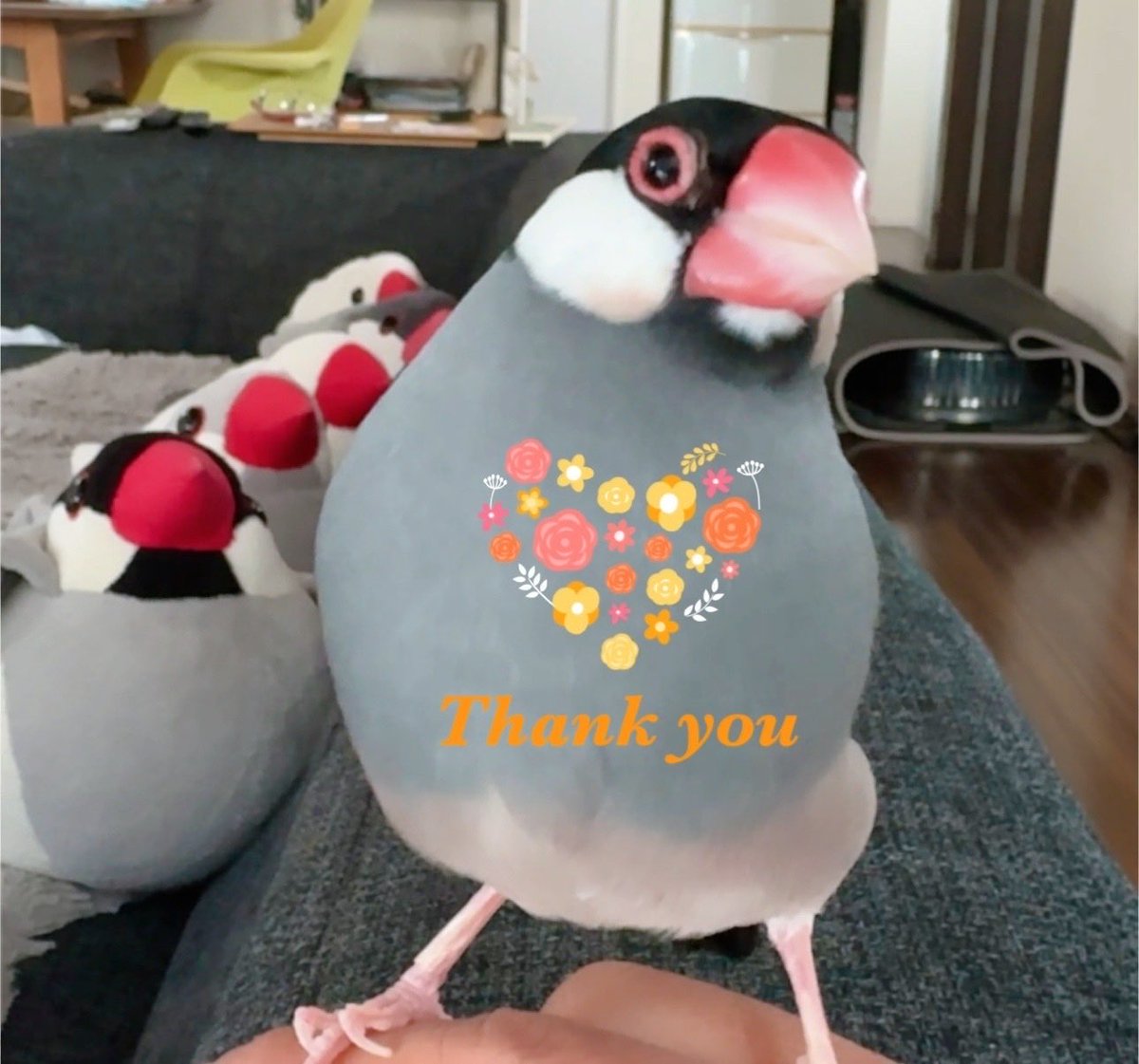 まさよ（7200BIRDIE） on X