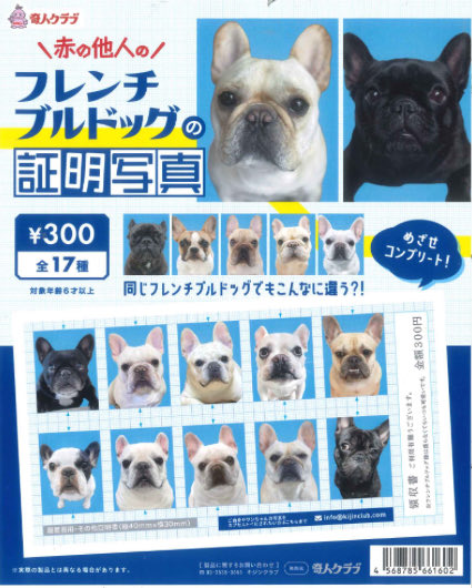 miso 904545サイドアクリル仕様 オプションお写真2枚目掲載 miso