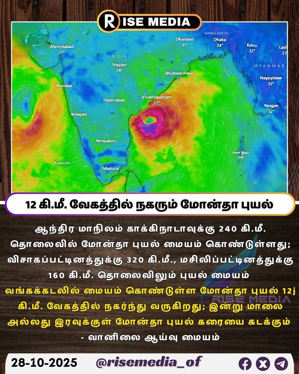 Rise Media tweet media