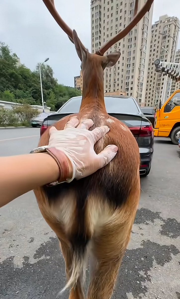 bool💤 tweet media