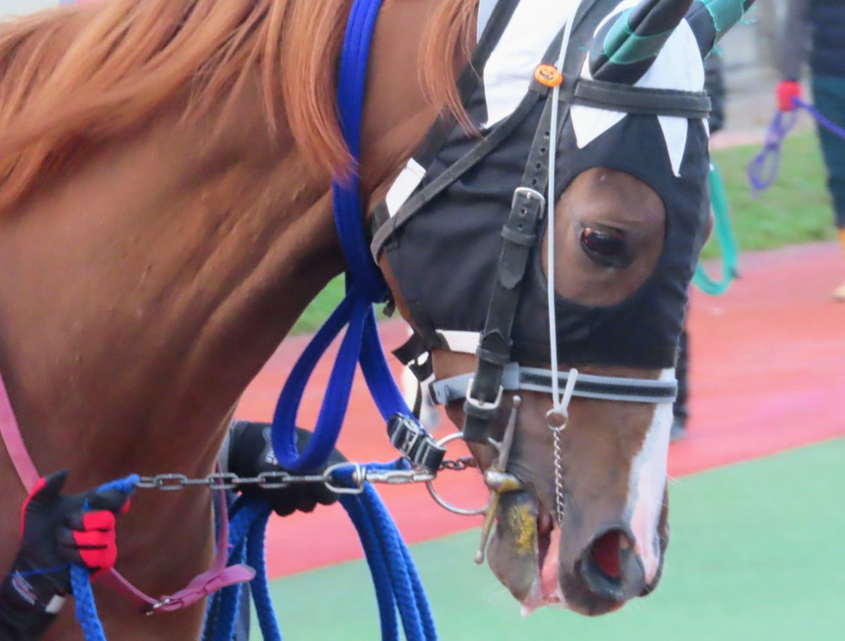 ぺこページ ぺこ on X