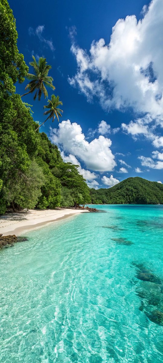 Amazing Nature (@amazingpicshq) on Twitter photo 