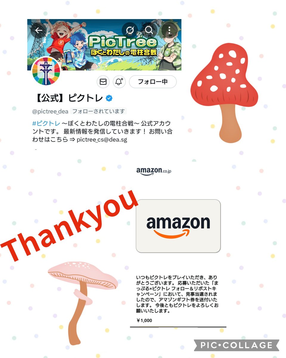 mapu様✨ ドリーム橋本 on X