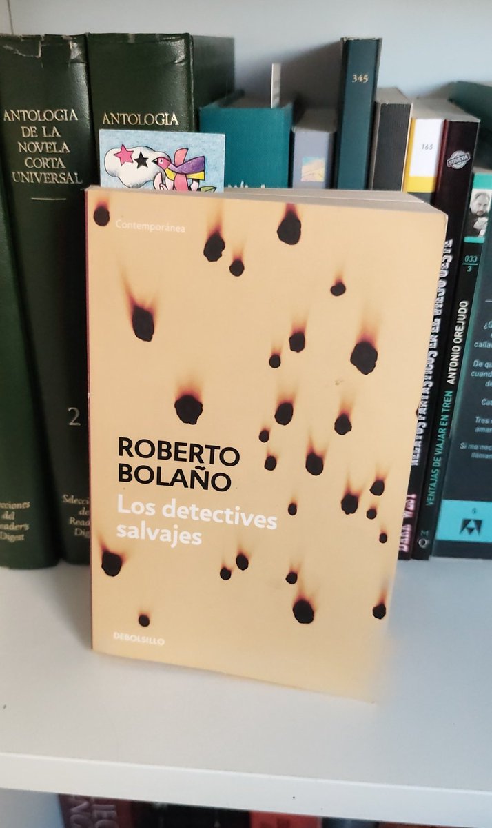 Había dejado a "Los detectives salvajes" a la espera, reposando. Este fin de semana lo he retomado y ya he sobrepasado la mitad. Joder, es que Bolaño no es bueno, es que juega en otra liga.
