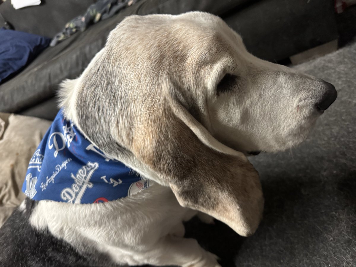 Brian Judah tweet media