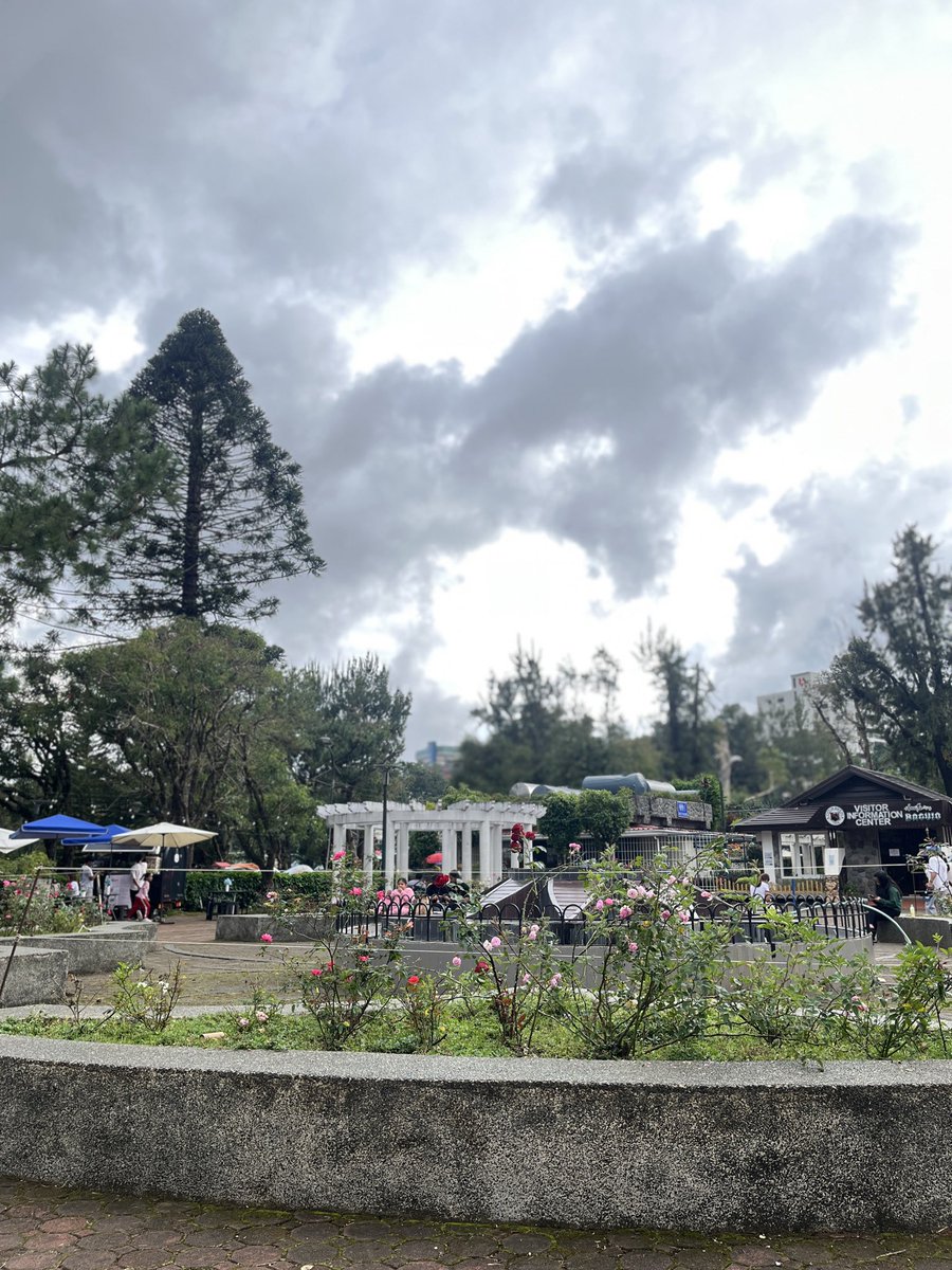 AC_side2side's tweet image. Tara tambay?
#alterbaguio