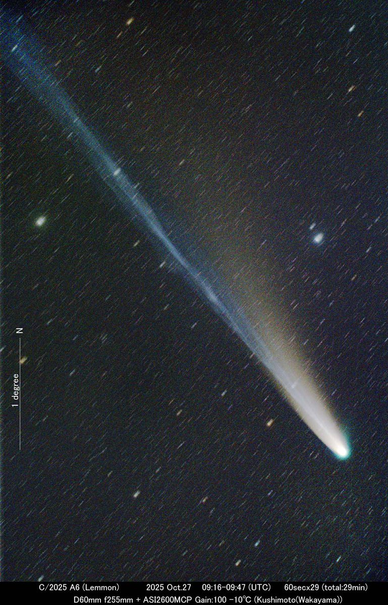 キンさん　 星のきんさん on X