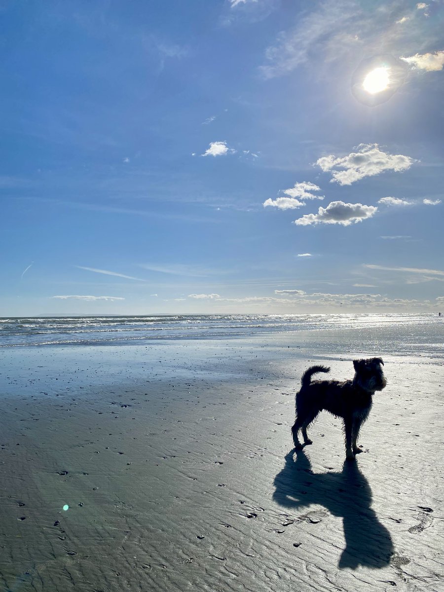 Susybee@Amersham tweet media