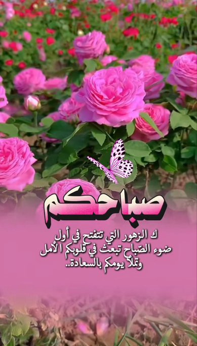 صباح الذكريات الحلوة 🌤️
#صباح_الخير
