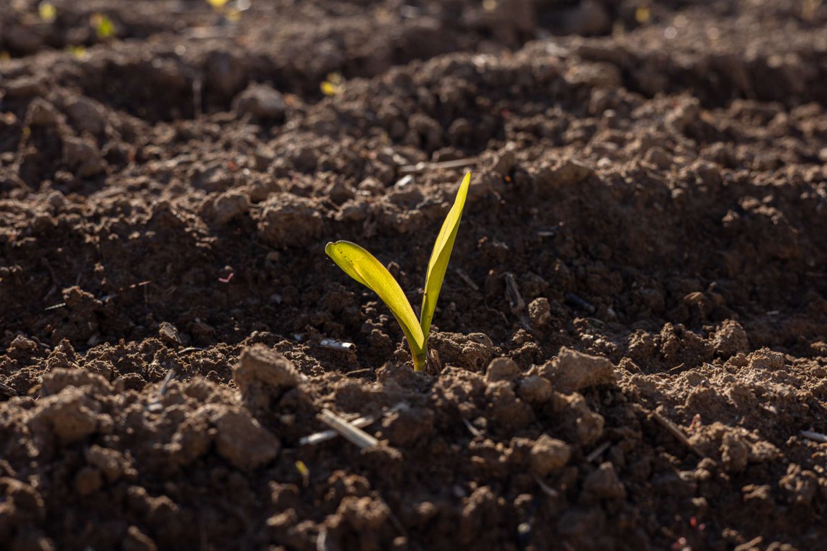 FarmPlus tweet media