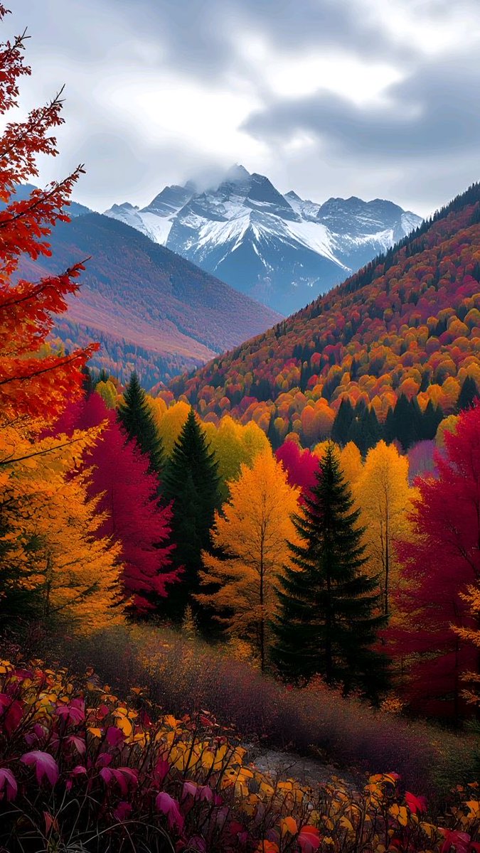 In the silence of 
nature , we find the true rythme of     Our souls.🍃

Good morning X friends ☕️
Beautiful Tuesday Everyone 💚

#AnimalLovers 🐕
#Peace2025 🕊️
#IsraelTerroristState 😡
#TuesdayFeeling 💞
#PositiveVibesOnly 🦋
#Switzerland 28/10  7/13c ⛅️
God bless you 🍃🥰🧚🏻‍♀️