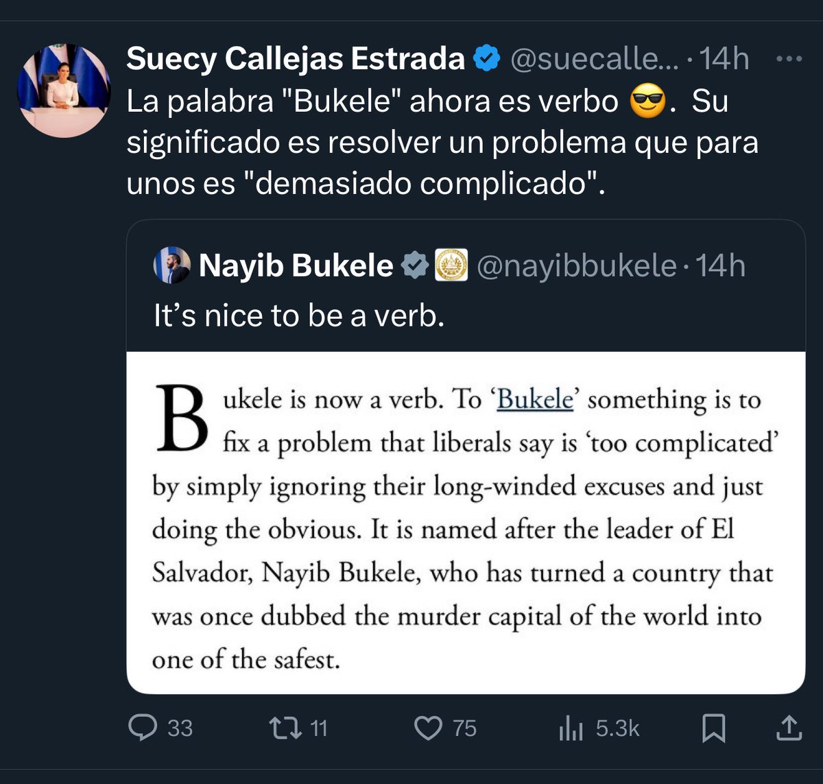“Ahora Bukele es verbo, no sustantivo” 😬😬🫠🫠

¿Sentirá aunque sea un poco de desconfianza ante semejante nivel de adulación?
¿O de verdad  él creerá que es un verbo… algo así como un semidiós?