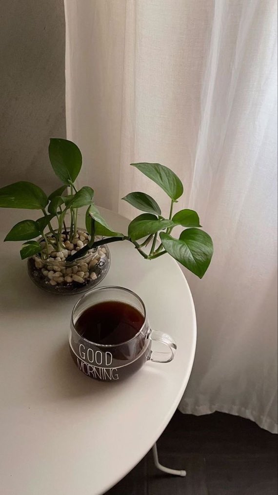 #صباح_الخير
؛
وبك أصبحنا ياالله🍃
اللهم صباحاً يضم السكينة..
وراحة البال والتوفيق..
والتيسير في أمور حياتنا..
؛
🤍🕊️