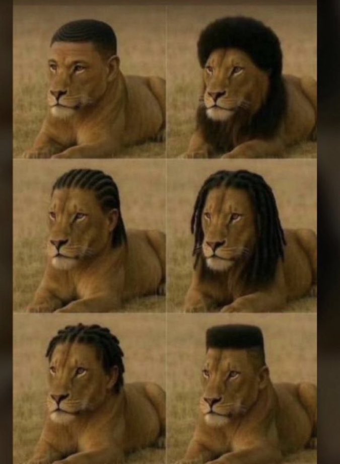 Chose your haircut style