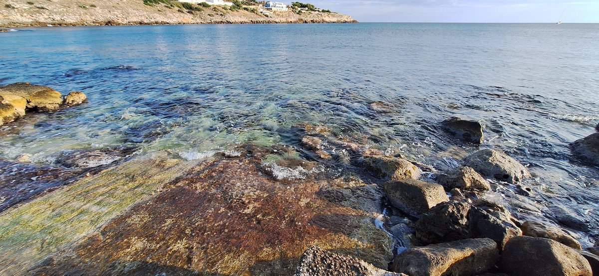Buongiorno a tutti da un mare ritornato calmo...