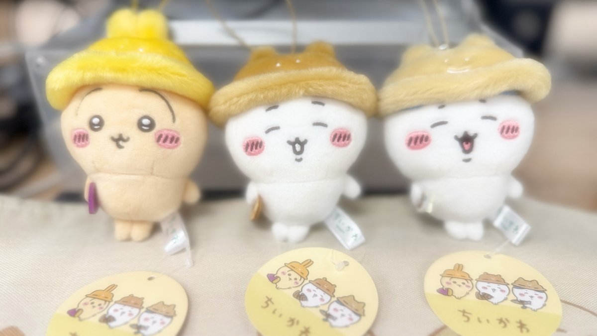 ちいかつ50↑ (@chiikatsuaka) / Posts / X