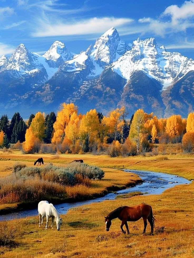 Beautiful morning 🌻🍀🌹🍀☀️