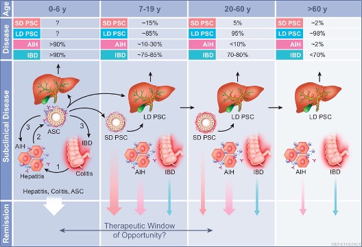 Review 

Identifying a therapeutic window of opportunity for people living with primary sclerosing cholangitis: Embryology and the overlap of inflammatory bowel disease with immune-mediated liver injury

Kellermayer et al.
#LiverX
 shorturl.at/VvLGO